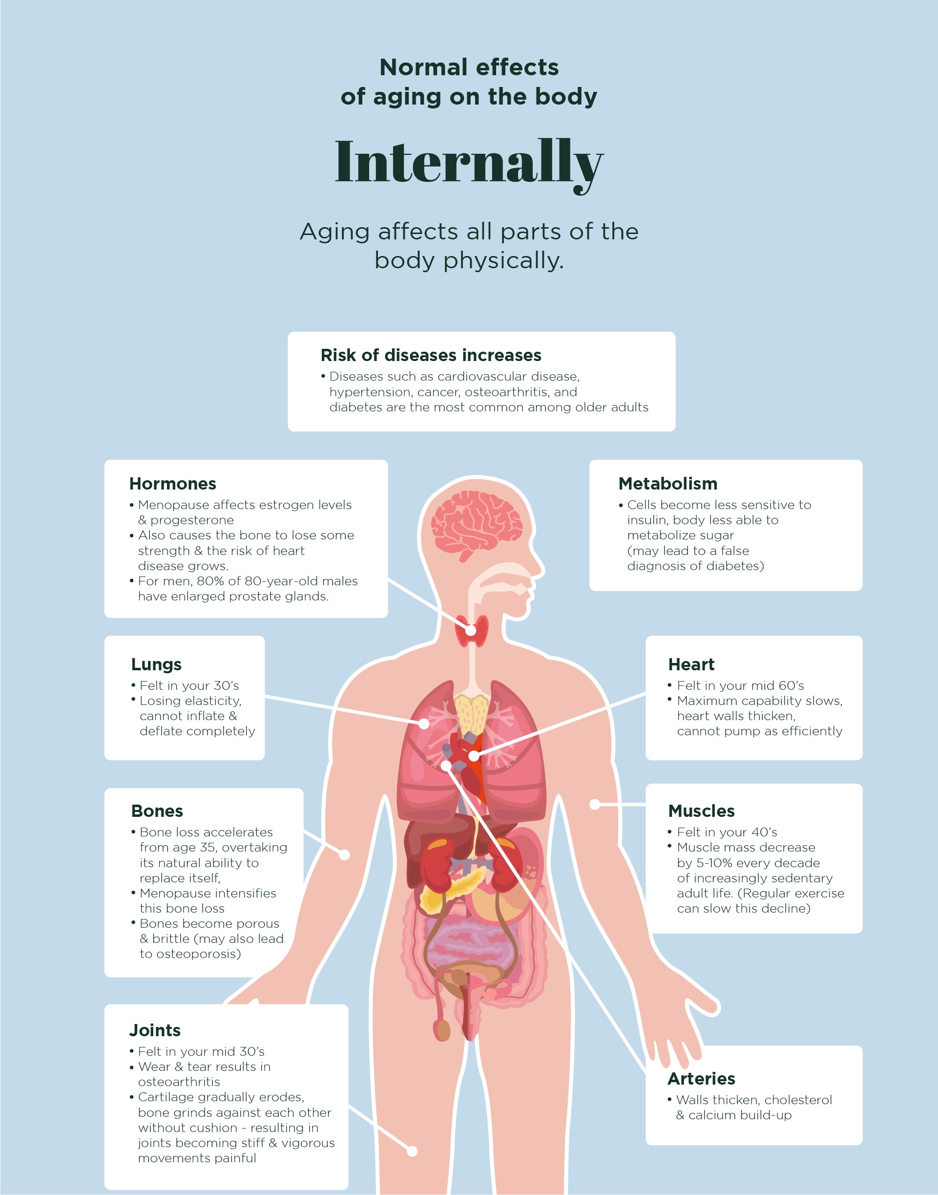 Impact of aging on internal organs of the body