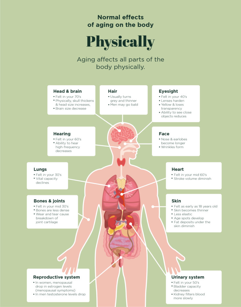 How Aging Affects Our Body and What Causes Pre-mature Aging | WellnessNi